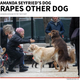 Illustration for article titled TMZ Has Moved On to Reporting Dog Rape
